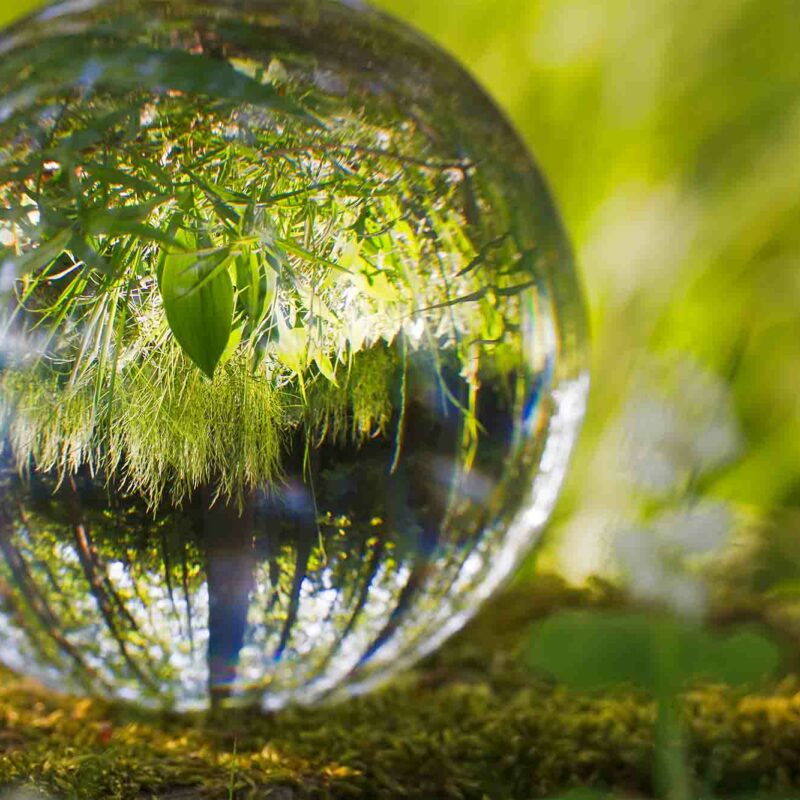 La Natura che si specchia in una goccia d'acqua